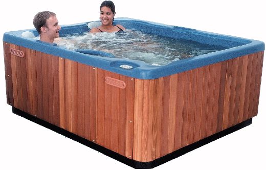 Quest hot tub. 4 person + free steps & starter kit. technical image