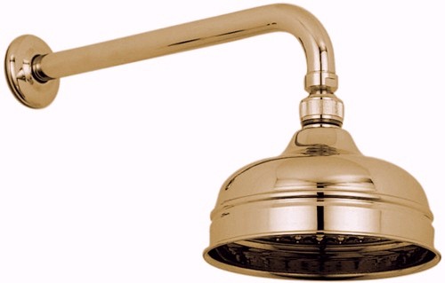 Traditional 6" fixed shower head and arm in gold. technical image