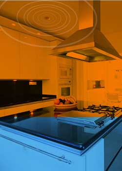 Hidden radio with remote control. technical image