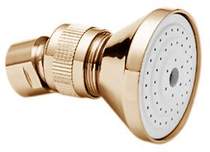 Deva Shower Heads Single Function 2" Shower Rose (Gold).