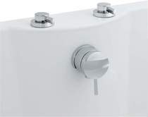 Hudson Reed Clio Fin 3/4" Freeflow Bath Filler with pop up waste and overflow.