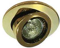 Lights Low voltage gold scoop directional downlight with transformer and lamp.