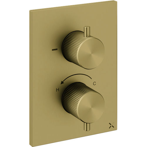 Crosswater 3ONE6 Crossbox 2 Outlet Shower Valve (Brushed Brass).