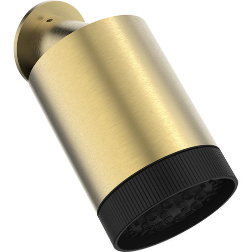 Crosswater Revive Multi Mode Shower Head (Brushed Brass).