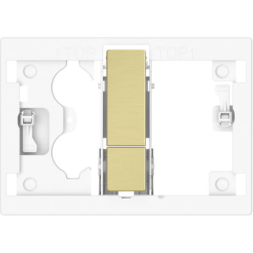 Roca Panels PS4 (DUPLO S) - Dual Flush Buttons Only (Brushed Brass)