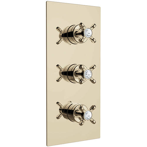 Additional image for Concealed Shower Valve With Dual Controls (2 Outlet, Gold).