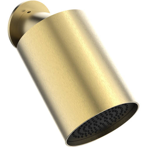 Additional image for Single Mode Shower Head (Brushed Brass).