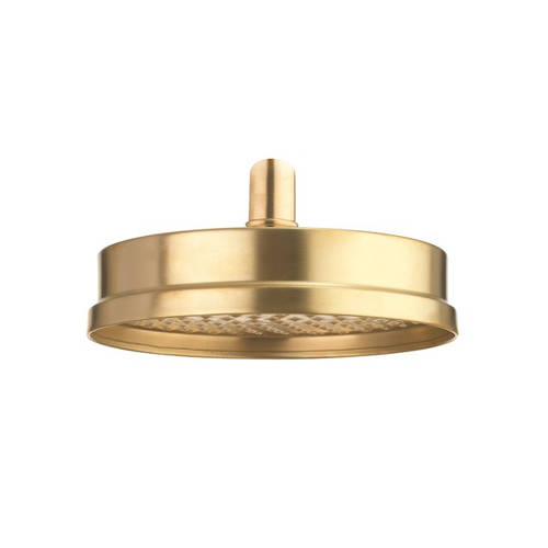 Additional image for Shower Head 8" (Unlacquered Brass).
