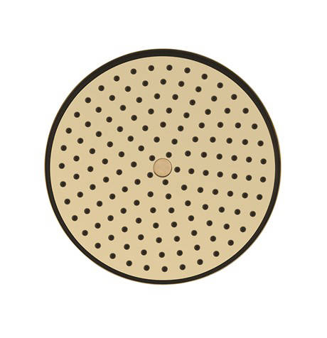 Additional image for Easy Clean Shower Head 8" (Unlacquered Brass).