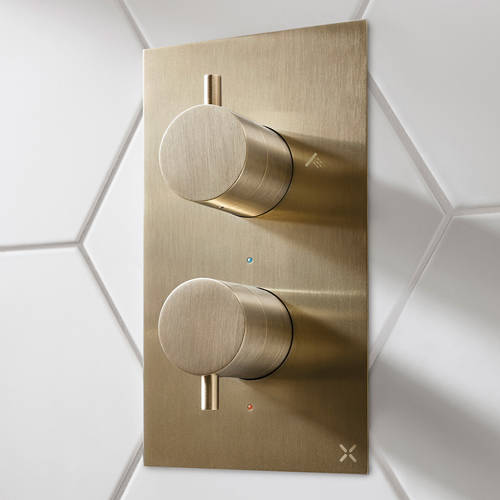 Additional image for Thermostatic Shower Valve (2 Way Diverter, B Brass).