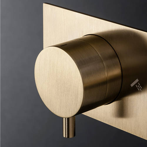 Additional image for Thermostatic Shower Valve With Handset (B Brass).