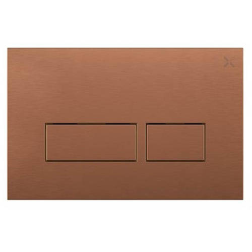 Additional image for Flush Plate With Dual Buttons (OLD, Brushed Bronze).