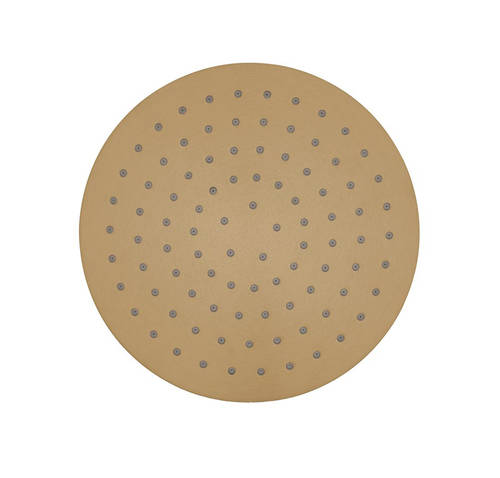 Additional image for Round Shower Head 200mm (Brushed Brass).