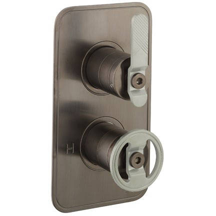 Additional image for Thermostatic Shower Valve (2 Outlets, Black & Nickel).