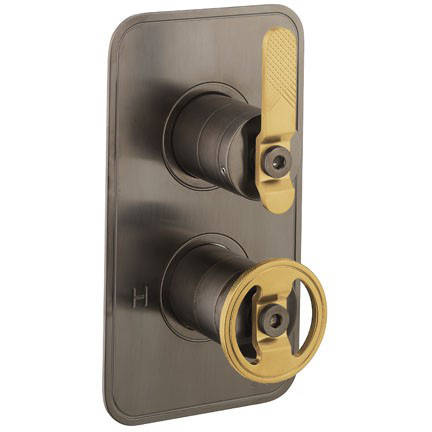 Additional image for Thermostatic Shower Valve (1 Outlet, Black & Brass).