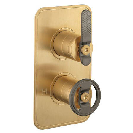Additional image for Thermostatic Shower Valve (1 Outlet, Brass & Black).