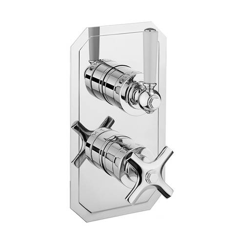 Additional image for Thermostatic Shower Valve (2 Outlet, Chrome & White).