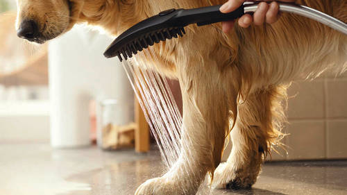 Additional image for DogShower Hand Shower 150 With 3 jets (Matt Black)