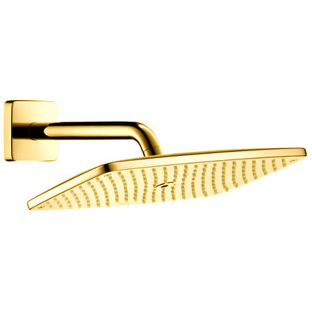 Additional image for Raindance E 360 1 Jet Shower Head & Arm (Polished Brass).