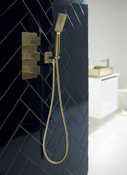 Additional image for Shower Outlet With Handset & Hose (Brushed Brass).