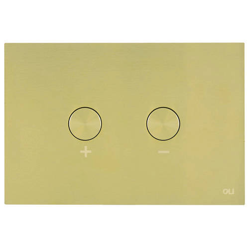 Additional image for Pneumatic Flush Plate Only (Brushed Brass).