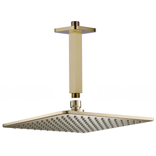 Additional image for Square Shower Head & Ceiling Mounting Arm (Brushed Brass).