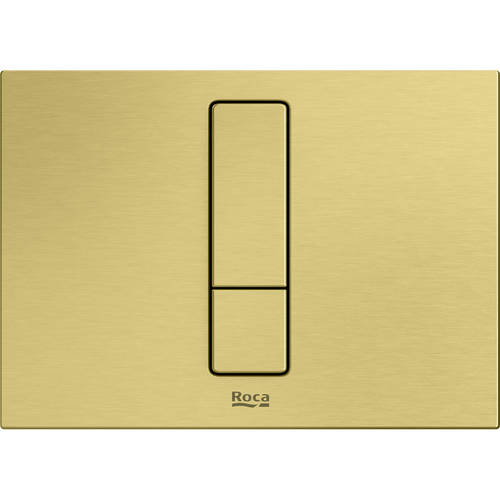 Additional image for PS4 (DUPLO S) - Dual Flush Plate (Brushed Brass)