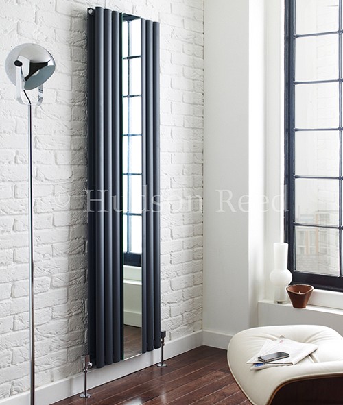 Additional image for Revive Mirror Radiator (Double Panel). 499x1800.