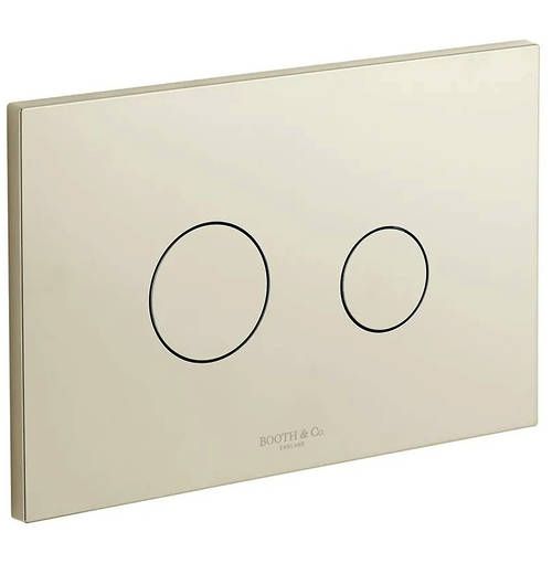 Additional image for Flush Plate With Round Buttons (Bright Nickel).
