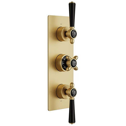 Additional image for Thermostatic Shower Valve With 2 Outlets (Brushed Brass).