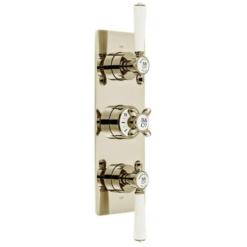 Additional image for Thermostatic Shower Valve With 2 Outlets (Bright Nickel).