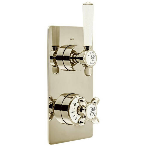 Additional image for Thermostatic Shower Valve With 1 Outlet (Bright Nickel).