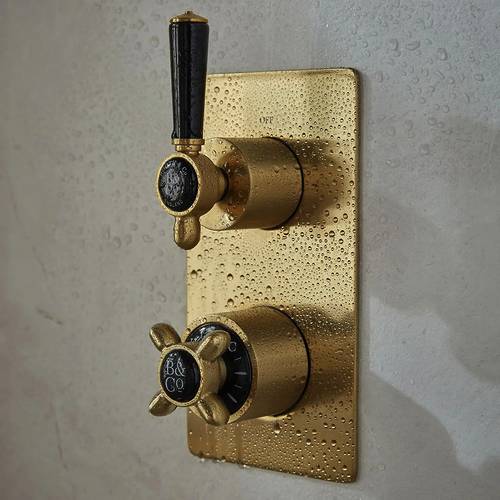 Additional image for Thermostatic Shower Valve With Slide Rail Kit & Fixed Head (Brushed Brass).