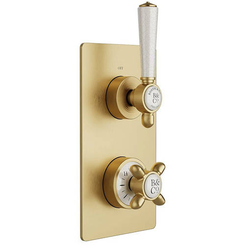Additional image for Thermostatic Shower Valve With Mini Kit & Fixed Head (Brushed Brass).