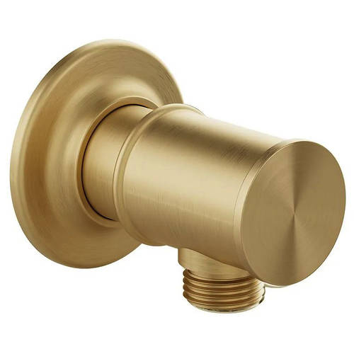 Additional image for Traditional Wall Outlet (Brushed Brass).