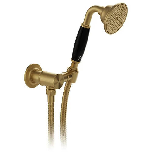 Additional image for Mini Shower Kit With Wall Outlet (Brushed Brass).