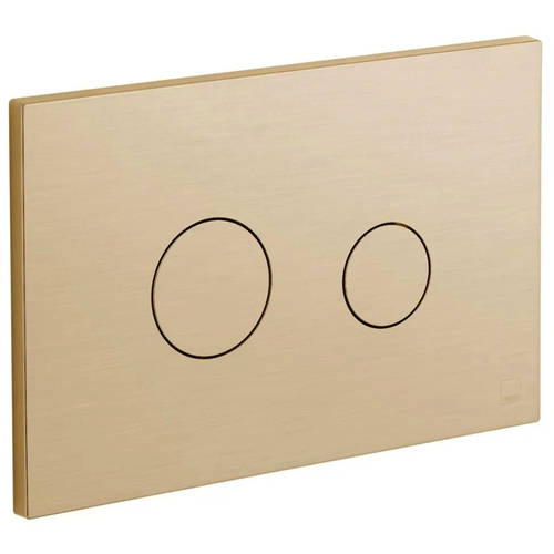 Additional image for Flush Plate With Round Buttons (Brushed Gold).