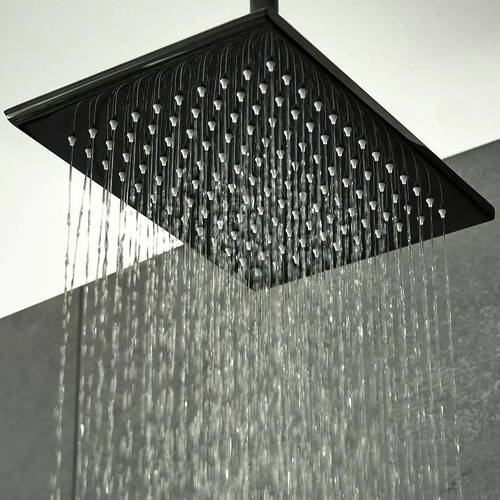 Additional image for Shower Head 200x300mm (Polished Black).