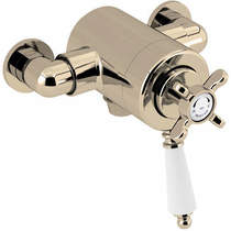 Bristan 1901 Exposed Shower Valve With Dual Controls (1 Outlet, Gold).