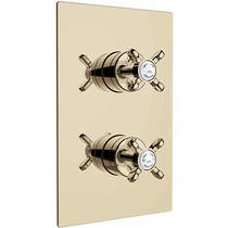 Bristan 1901 Concealed Shower Valve With Dual Controls (2 Outlet, Gold).