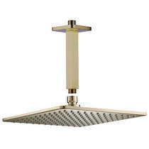 JTP Hix Square Shower Head & Ceiling Mounting Arm (Brushed Brass).
