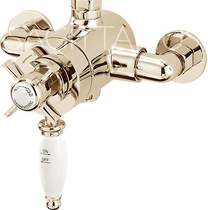 Sagittarius Churchmans Exposed Thermostatic Shower Valve (Gold).