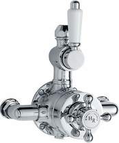 Nuie Traditional Dual exposed thermostatic shower valve.