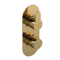 Nuie Arvan Concealed Thermostatic Shower Valve (1 Outlet, Brushed Brass).