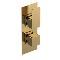 Nuie Windon Concealed Thermostatic Shower Valve (2 Outlets, Brushed Brass).